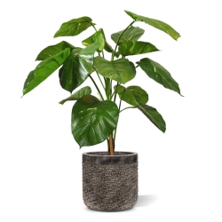 Pianta artificiale Pothos deluxe 90 cm