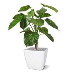 Pianta artificiale Pothos deluxe 90 cm