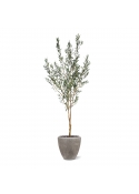 Ulivo Artificiale N 190cm