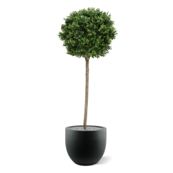 Palla di bosso su stelo artificiale 140 cm - resistente ai raggi UV