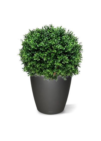 Pianta artificiale di bosso a palla deluxe N 60 cm - resistente ai raggi UV
