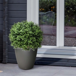 Pianta artificiale di bosso a palla deluxe N 60 cm - resistente ai raggi UV