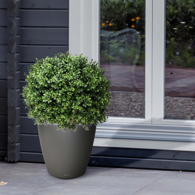 Pianta artificiale di bosso a palla deluxe N 60 cm - resistente ai raggi UV