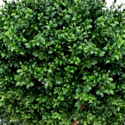 Pianta artificiale di bosso a palla deluxe N 60 cm - resistente ai raggi UV