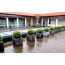 Pianta artificiale di bosso a palla deluxe N 60 cm - resistente ai raggi UV