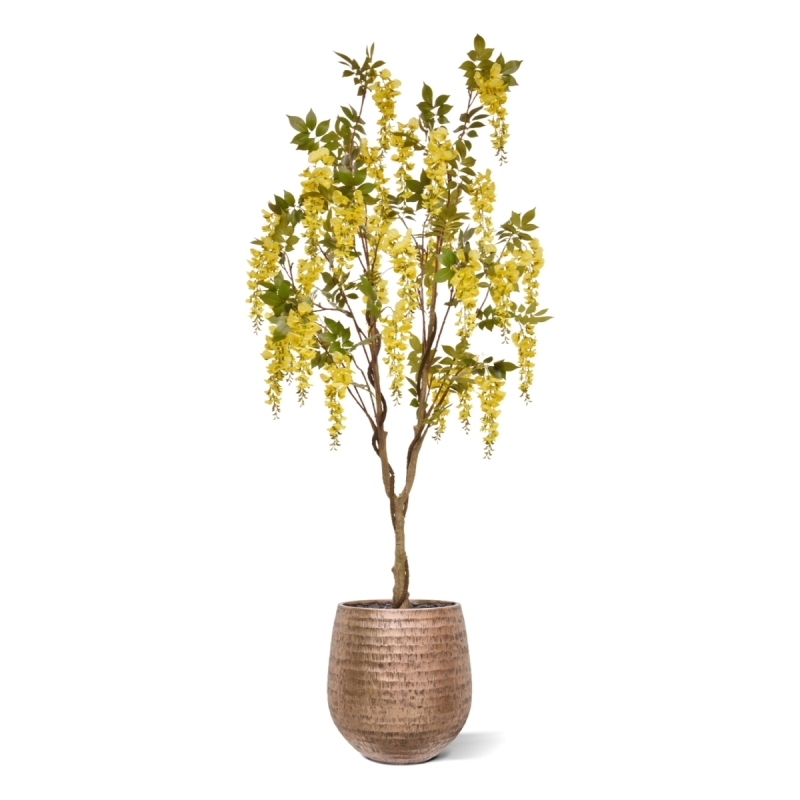 Glicine Artificiale 180cm Giallo