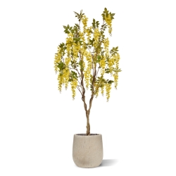 Glicine Artificiale 180cm Giallo