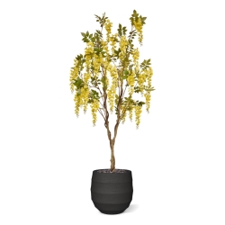 Glicine Artificiale 180cm Giallo