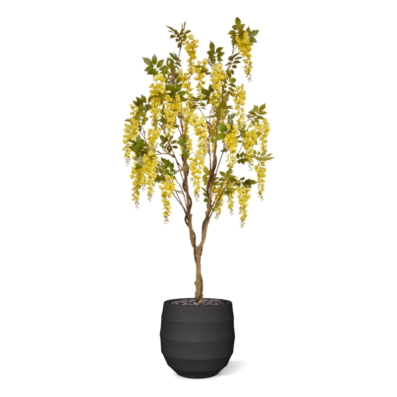 Glicine Artificiale 180cm Giallo