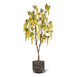 Glicine Artificiale 180cm Giallo
