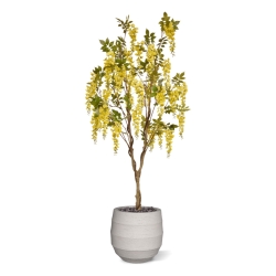 Glicine Artificiale 180cm Giallo