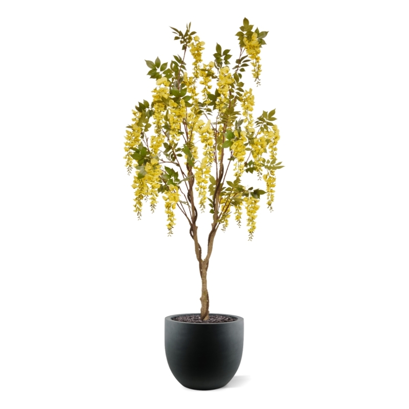Glicine Artificiale 180cm Giallo