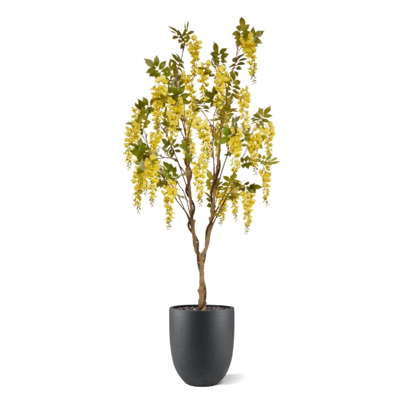 Glicine Artificiale 180cm Giallo