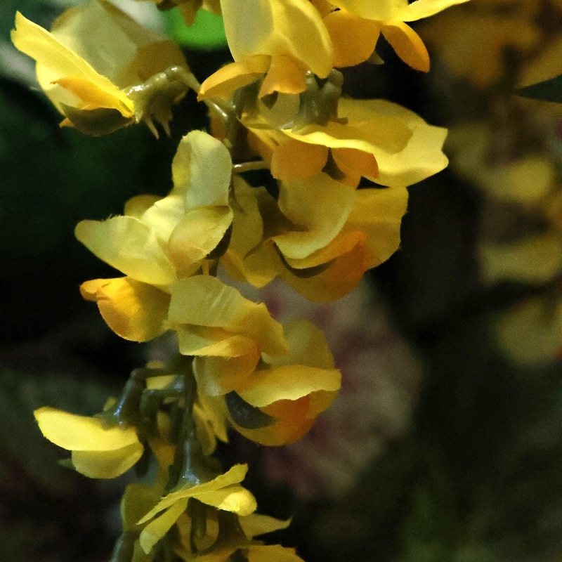 Glicine Artificiale 180cm Giallo