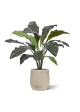 Anthurium artificiale Jungle King pianta Deluxe 130cm