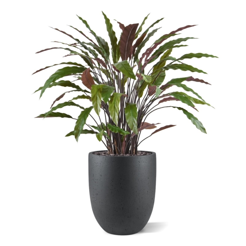 Pianta artificiale di Calathea 85 cm - verde/rosso