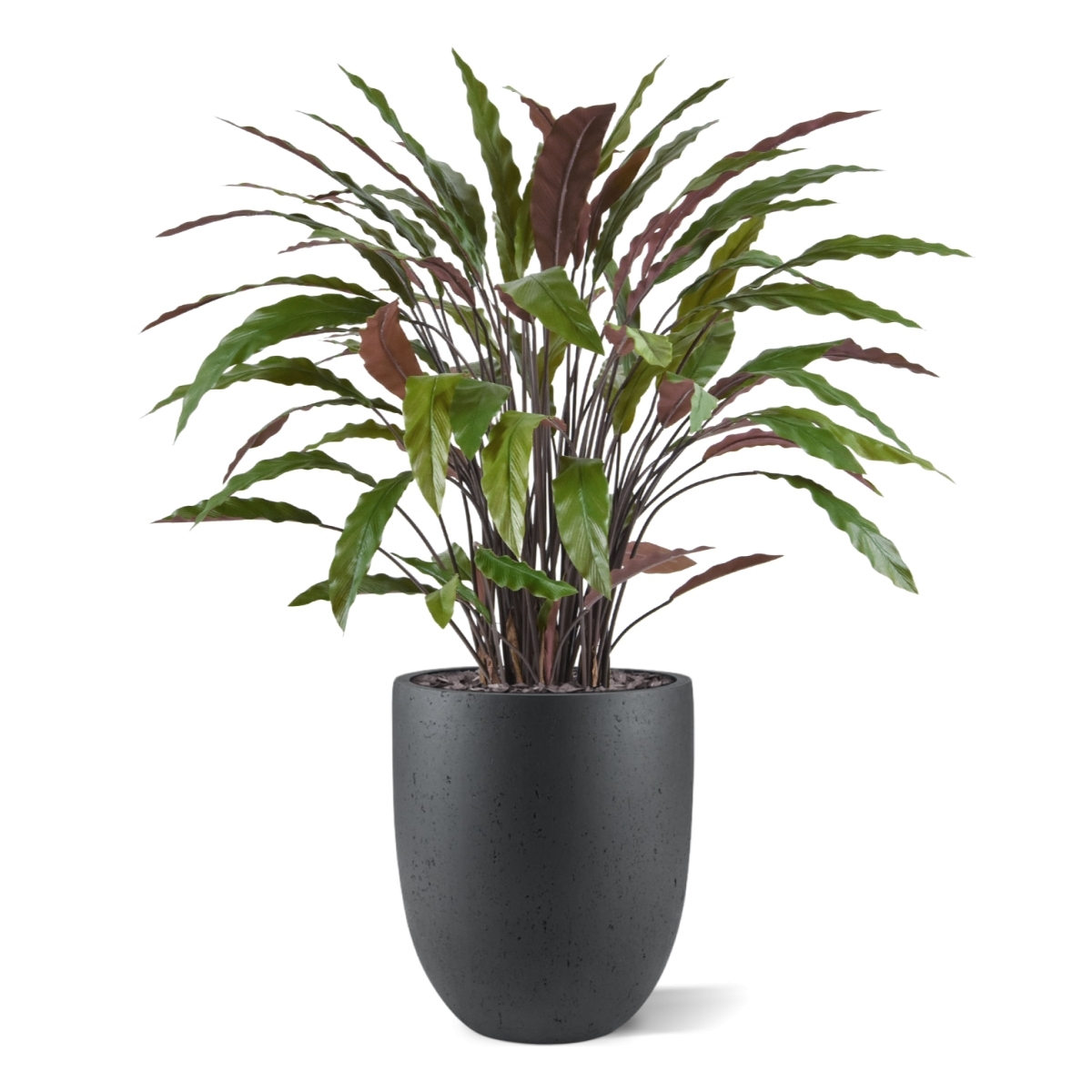 Pianta artificiale di Calathea 85 cm - verde/rosso