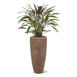 Pianta artificiale di Calathea 85 cm - verde/rosso