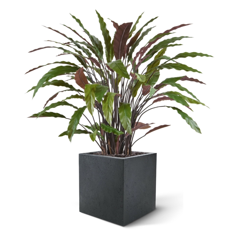 Pianta artificiale di Calathea 85 cm - verde/rosso
