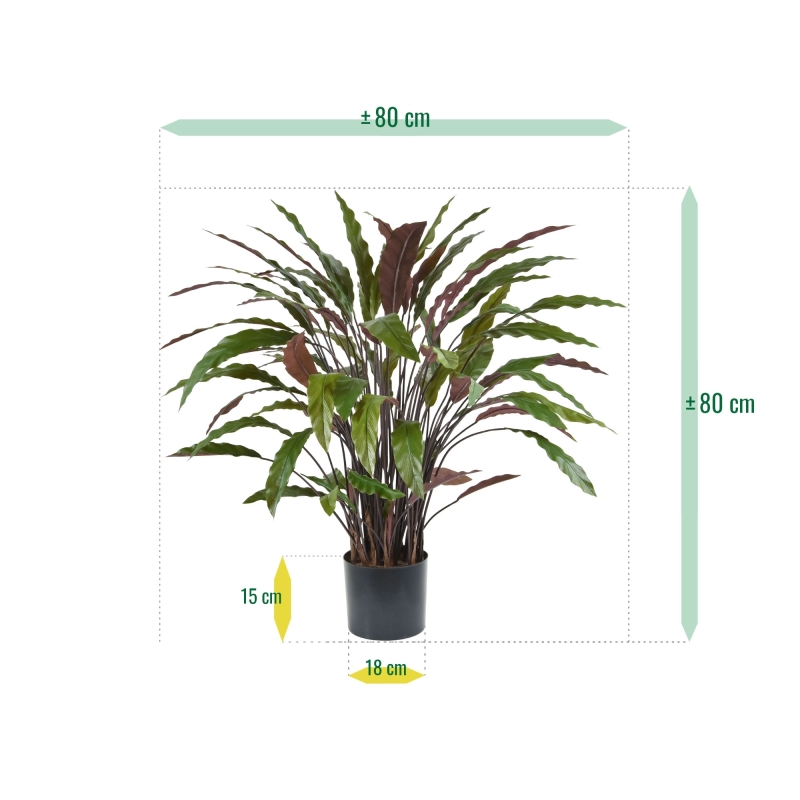 Pianta artificiale di Calathea 85 cm - verde/rosso