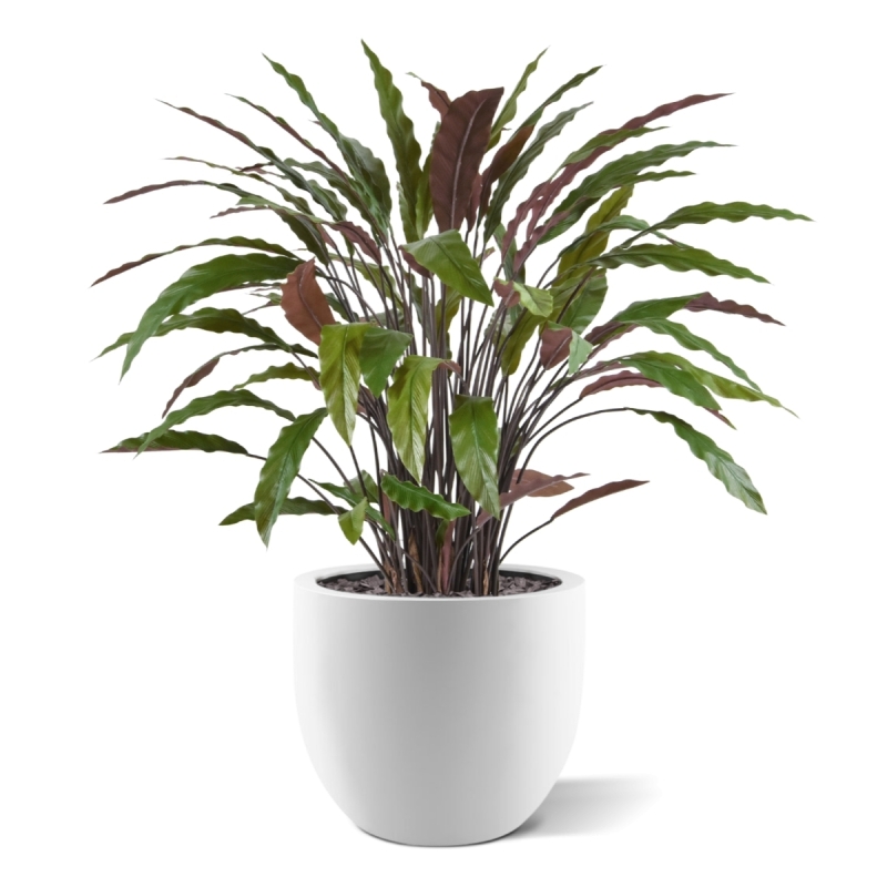 Pianta artificiale di Calathea 85 cm - verde/rosso
