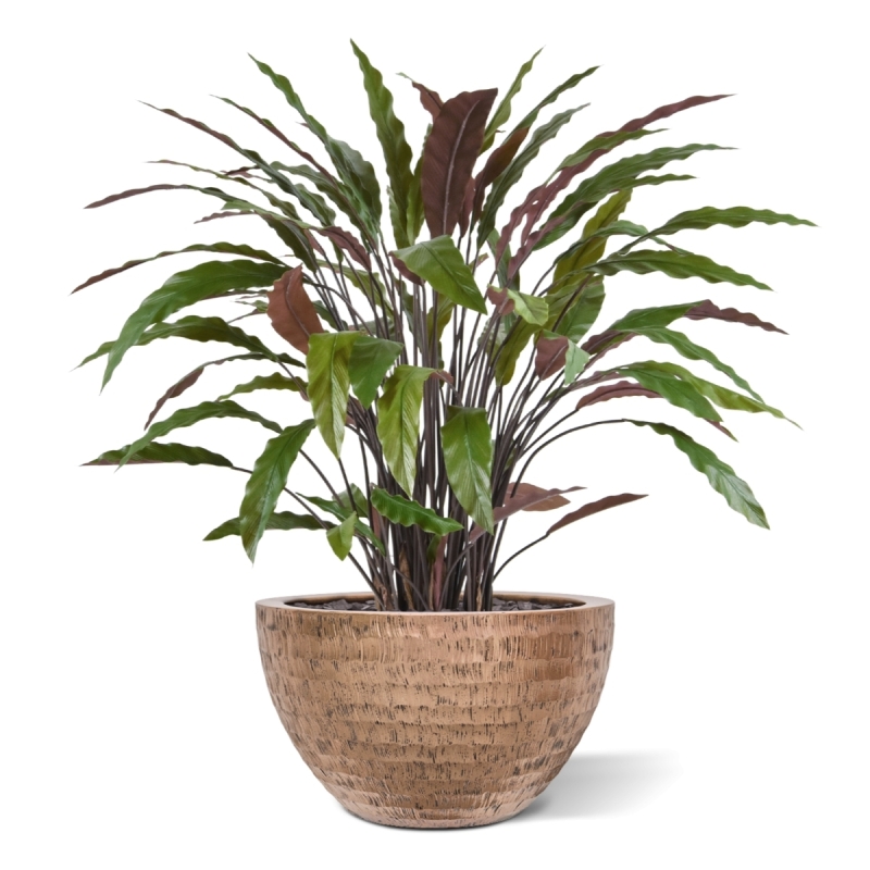 Pianta artificiale di Calathea 85 cm - verde/rosso