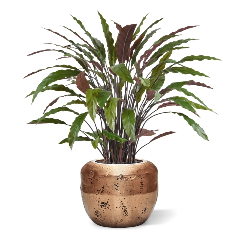 Pianta artificiale di Calathea 85 cm - verde/rosso
