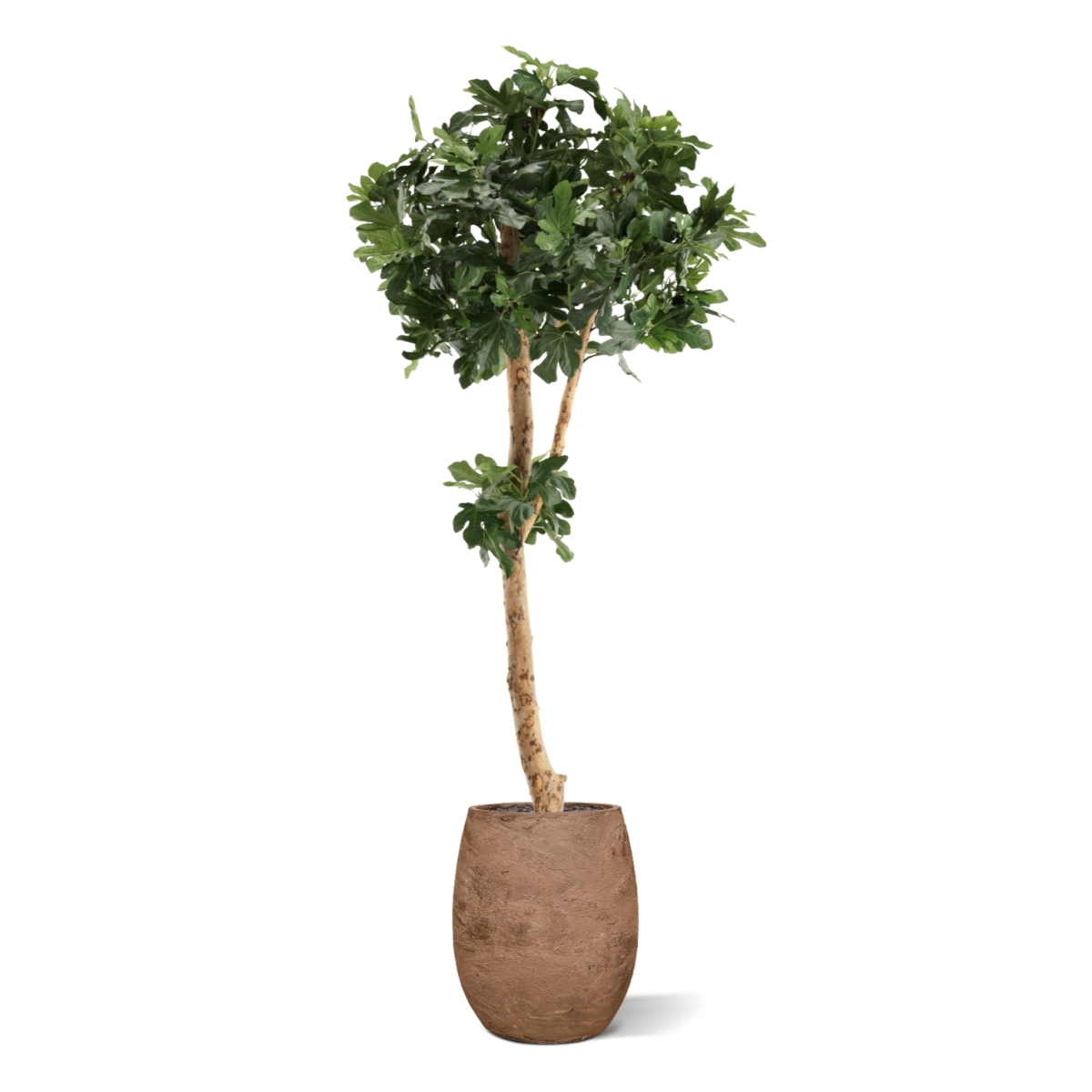 Albero di Fico Deluxe Artificiale 210cm