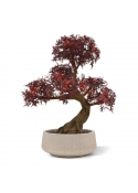 Ming Aralia Bonsai UV Borgogna albero artificiale su base 90cm