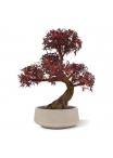 Ming Aralia Bonsai UV Borgogna albero artificiale su base 90cm