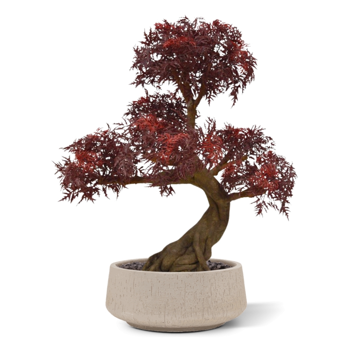 Ming Aralia Bonsai UV Borgogna albero artificiale su base 90cm
