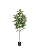 Albero artificiale Ficus Audrey RT su tronco 205 cm
