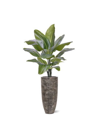 Strelitzia Nicolai XL Palma Artificiale 125cm