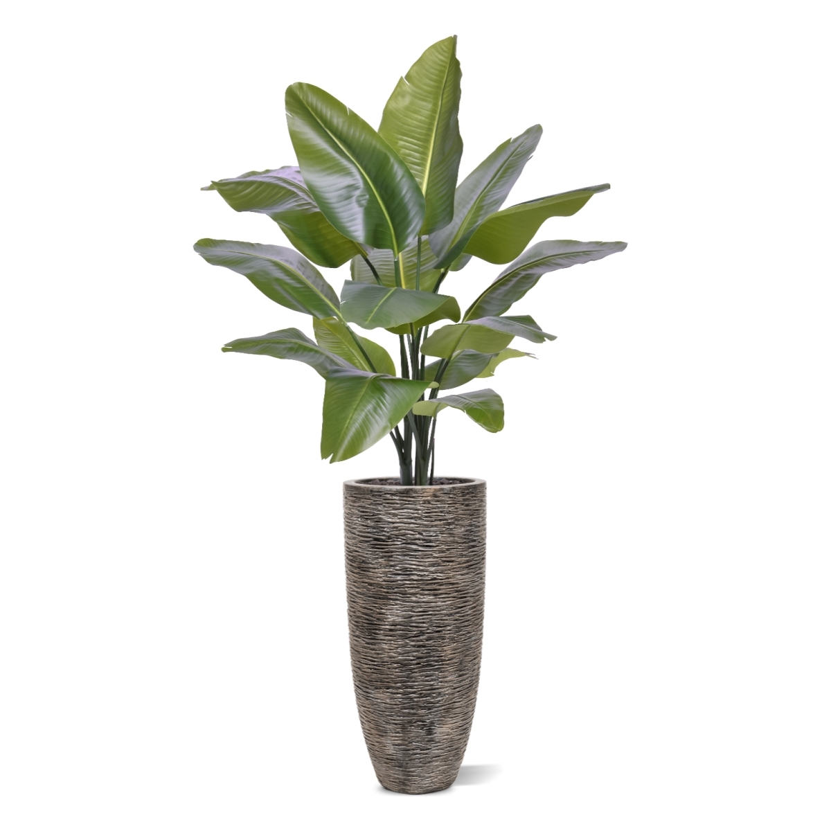 Strelitzia Nicolai XL Palma Artificiale 125cm