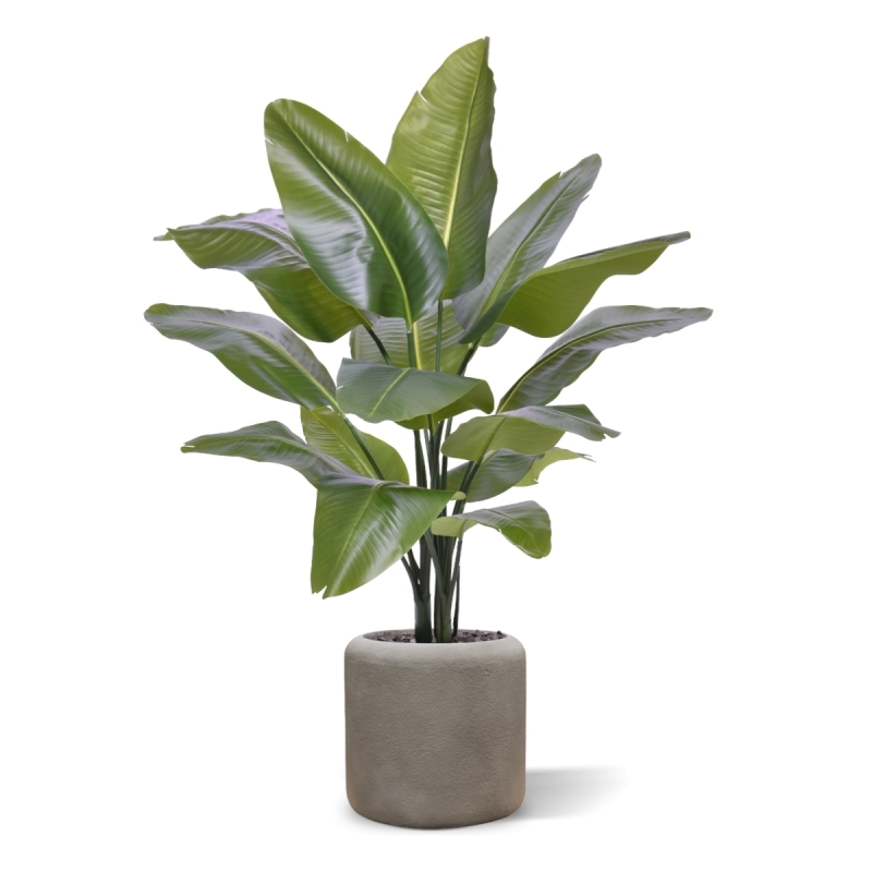 Strelitzia Nicolai XL Palma Artificiale 125cm
