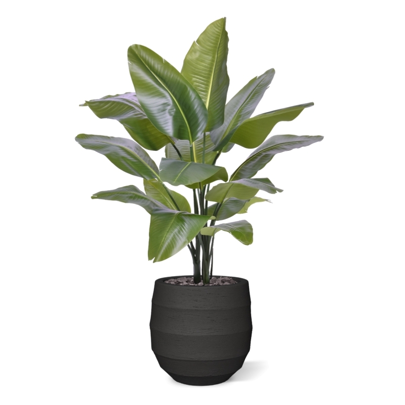 Strelitzia Nicolai XL Palma Artificiale 125cm
