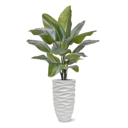 Strelitzia Nicolai XL Palma Artificiale 125cm