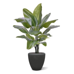 Strelitzia Nicolai XL Palma Artificiale 125cm