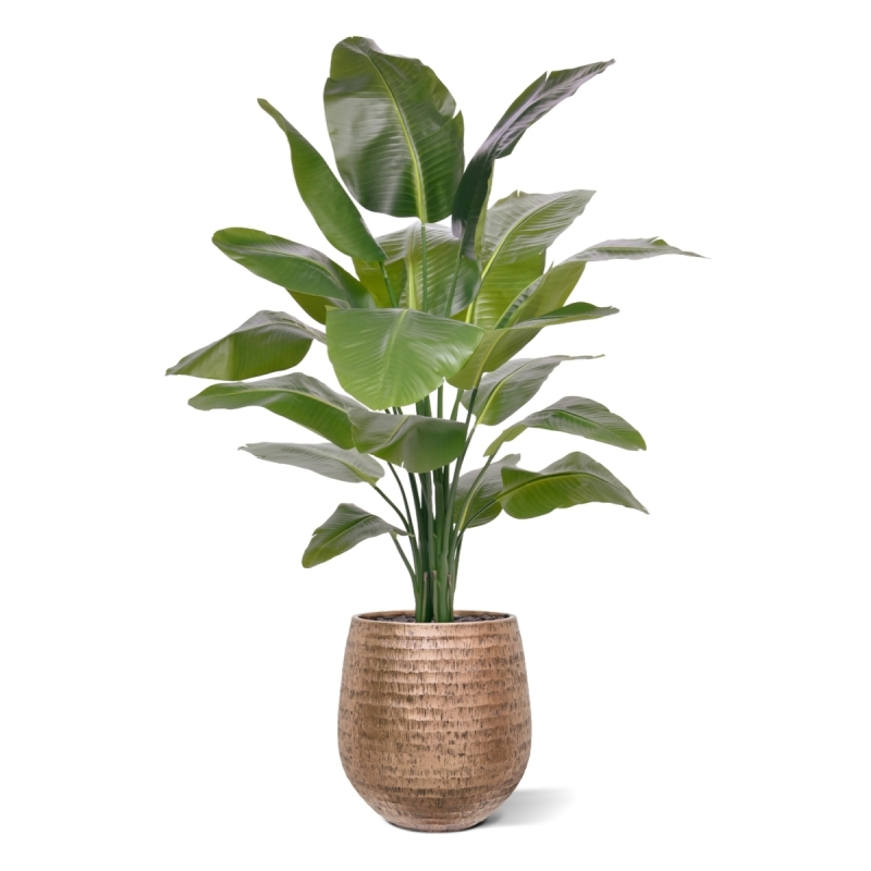 Palma Artificiale Strelitzia Nicolai XL 155cm