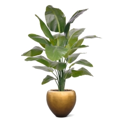 Palma Artificiale Strelitzia Nicolai XL 155cm