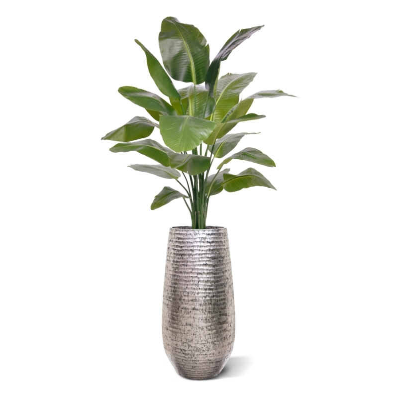 Palma Artificiale Strelitzia Nicolai XL 155cm