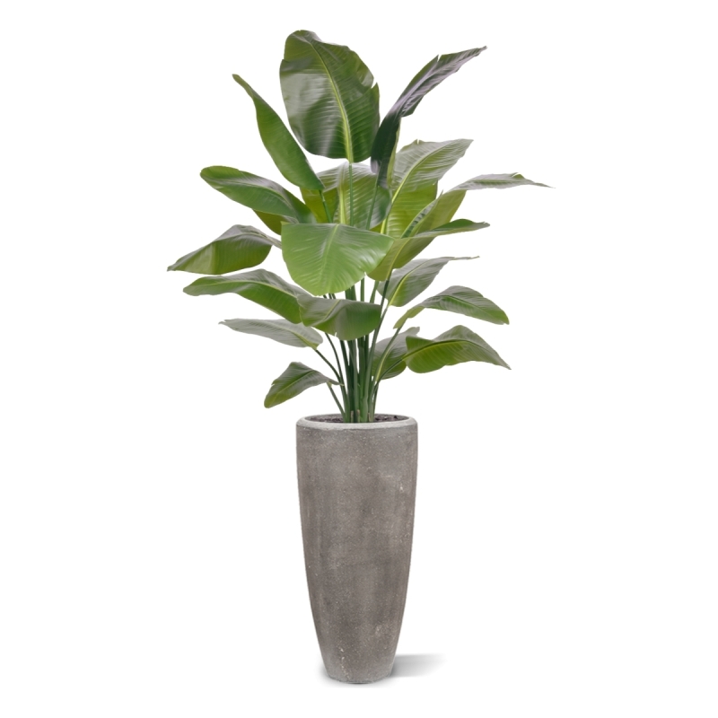 Palma Artificiale Strelitzia Nicolai XL 155cm