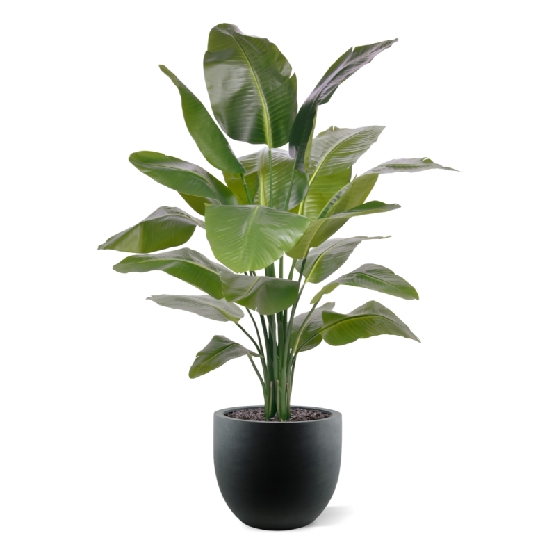 Palma Artificiale Strelitzia Nicolai XL 155cm