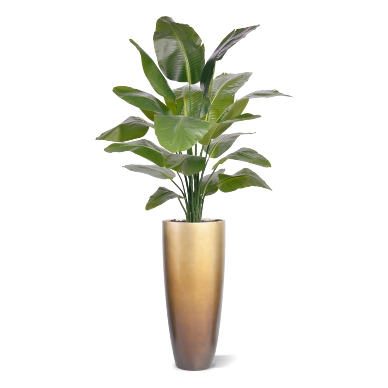 Palma Artificiale Strelitzia Nicolai XL 155cm