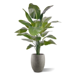Palma Artificiale Strelitzia Nicolai XL 155cm