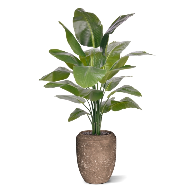Palma Artificiale Strelitzia Nicolai XL 155cm