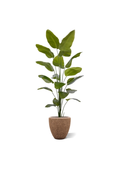 Pianta artificiale di Strelitzia Nicolai 225cm
