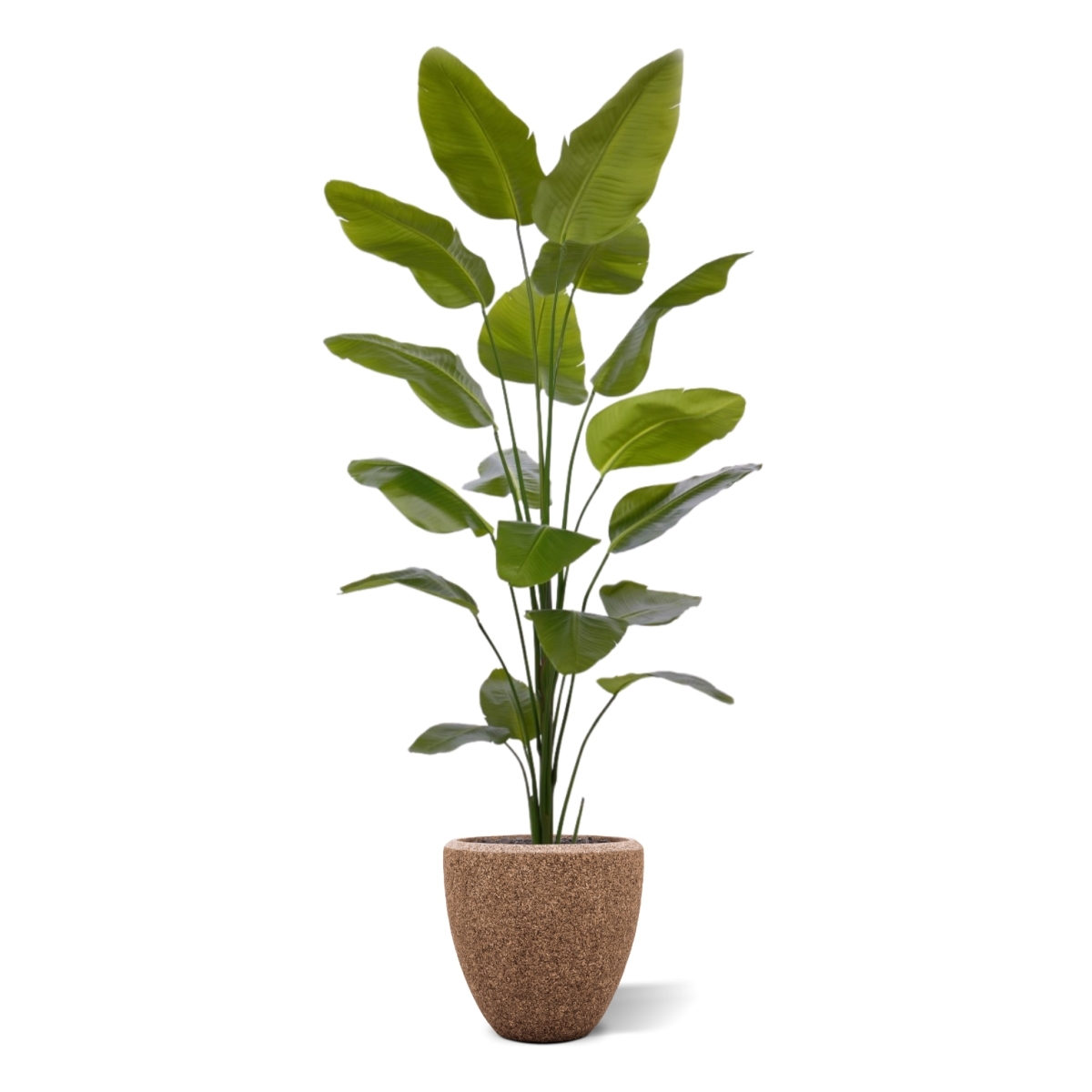 Pianta artificiale di Strelitzia Nicolai 225cm