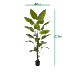 Pianta artificiale di Strelitzia Nicolai 225cm