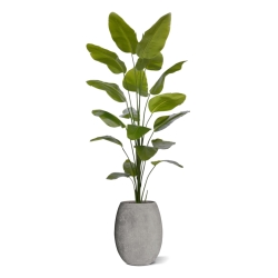 Pianta artificiale di Strelitzia Nicolai 225cm